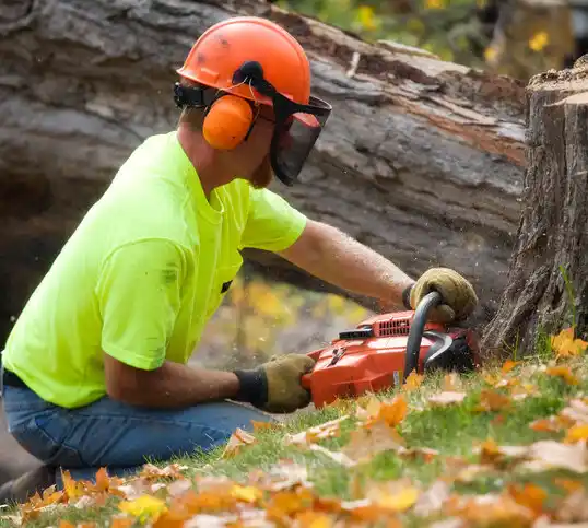 tree services Breaux Bridge